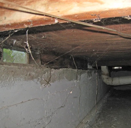 Crawl Space Water Extraction in Barrett, TX
