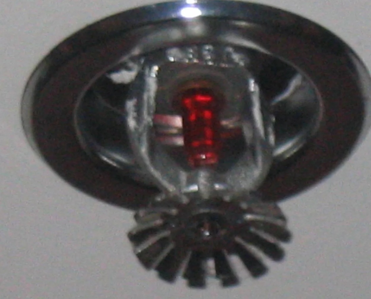 Sprinkler System Water Removal in Porter, TX
