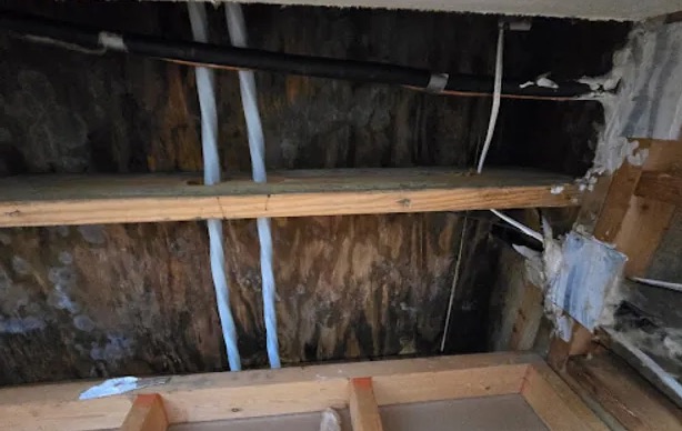 Attic Cleanup & Sanitization in Baytown, TX