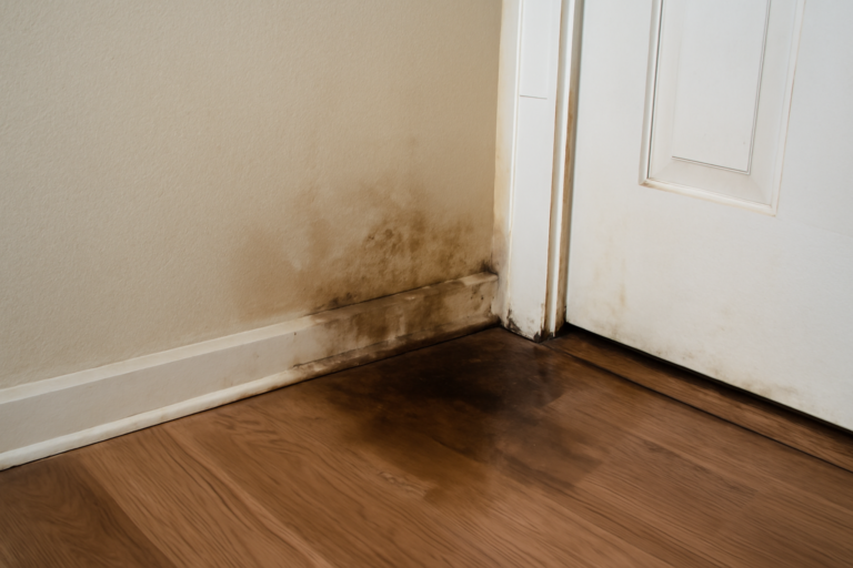 Pinhole Leak Water Removal